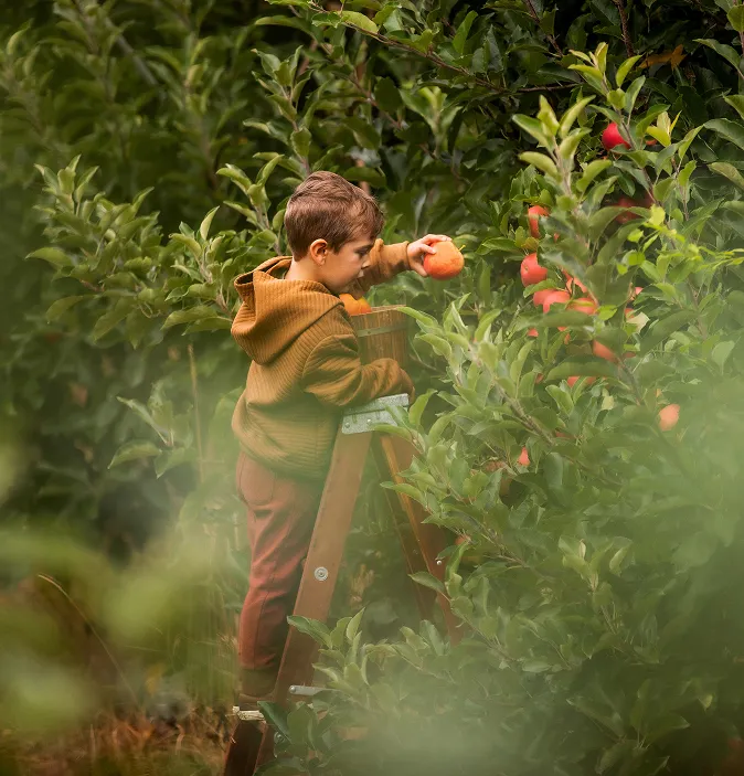 Hero - Pick Your Own