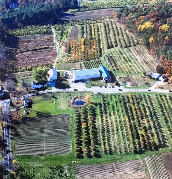 Hero - Pick Your Own